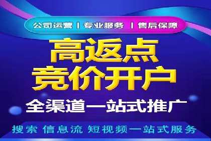 百度竞价代运营成功案例解析